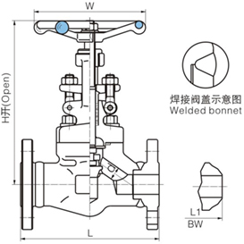 鍛鋼真空截止閥